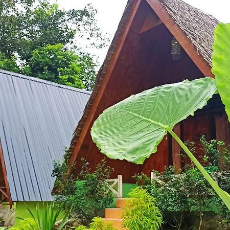 Green Forest Tangkahan Exterior foto