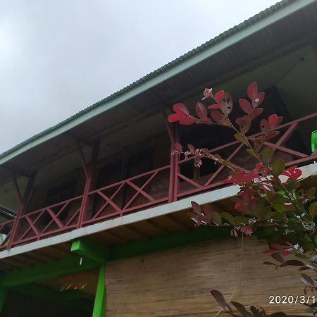 Green Forest Tangkahan Quarto foto