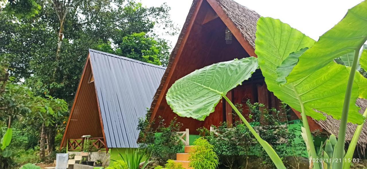 Green Forest Tangkahan Exterior foto