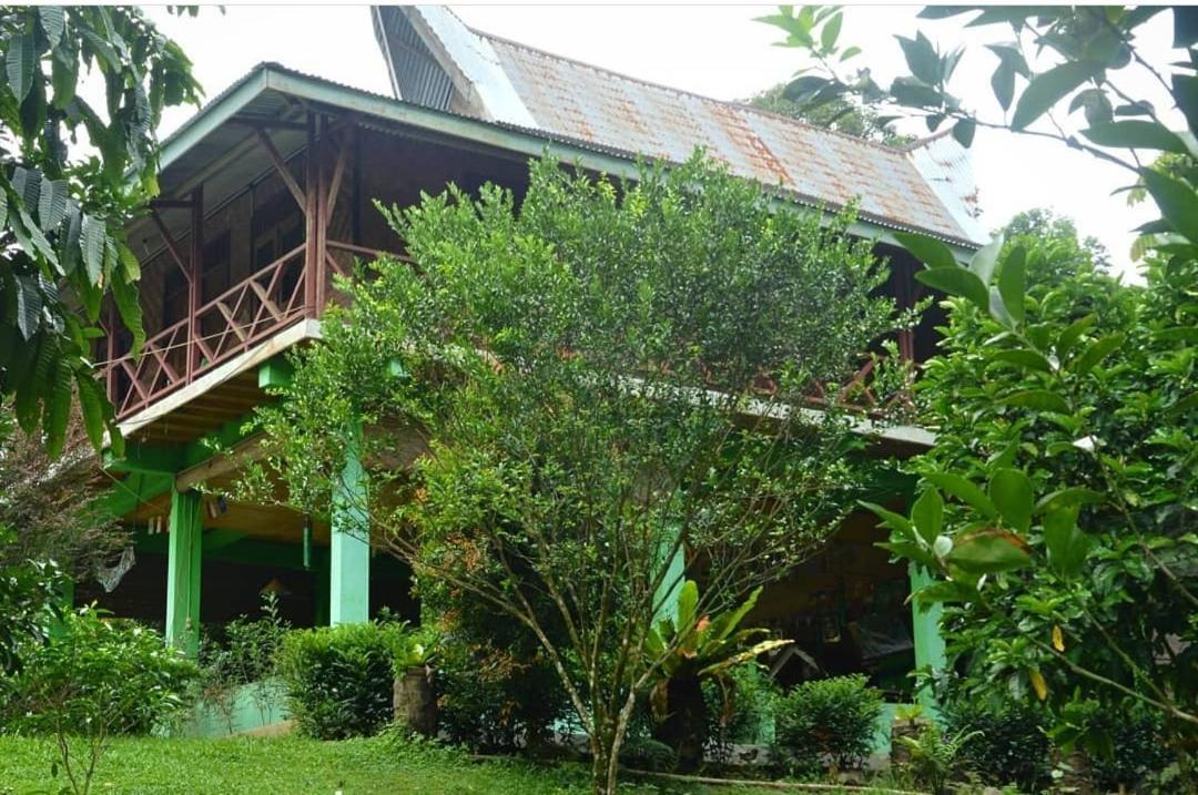 Green Forest Tangkahan Quarto foto