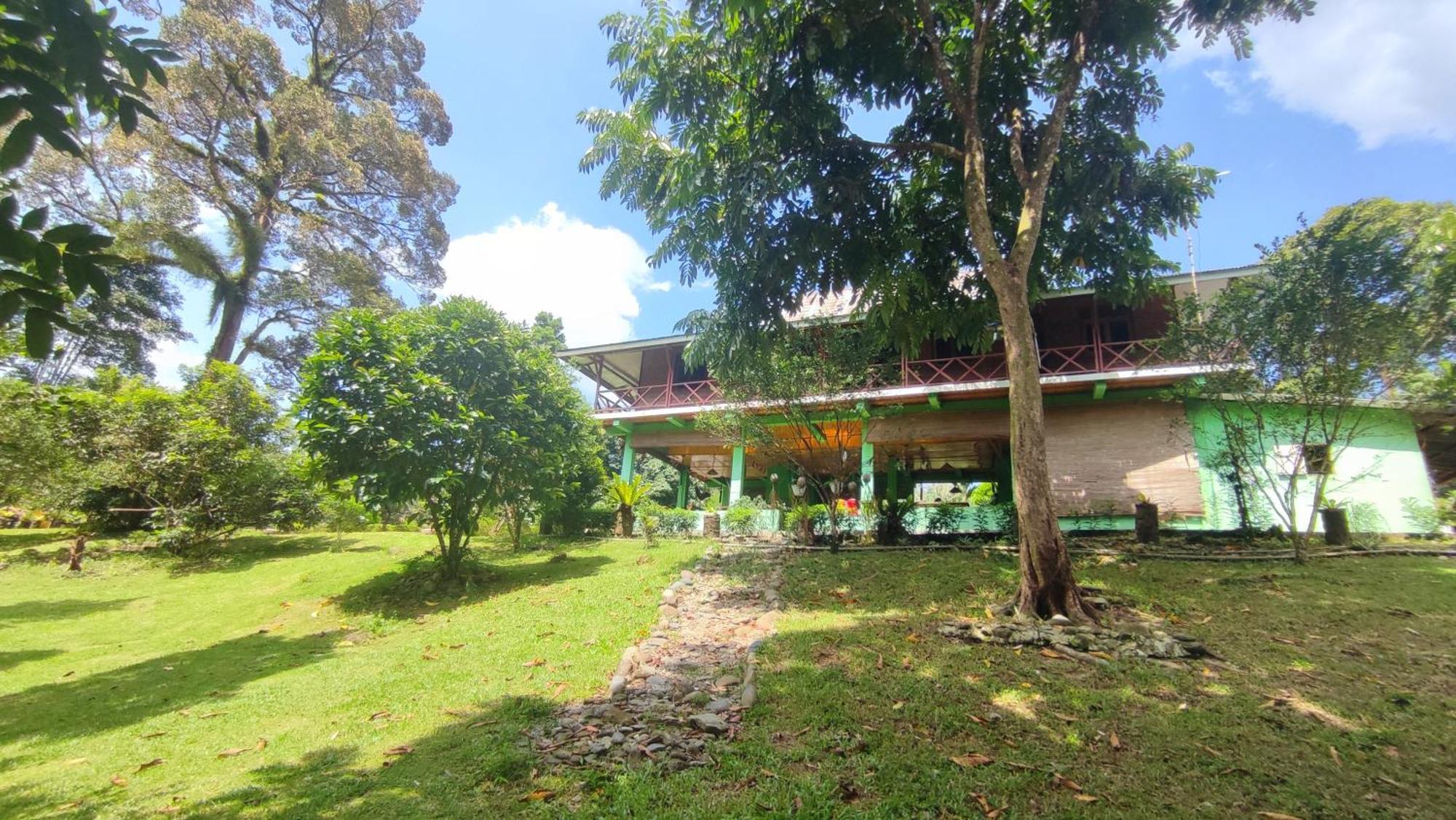 Green Forest Tangkahan Quarto foto
