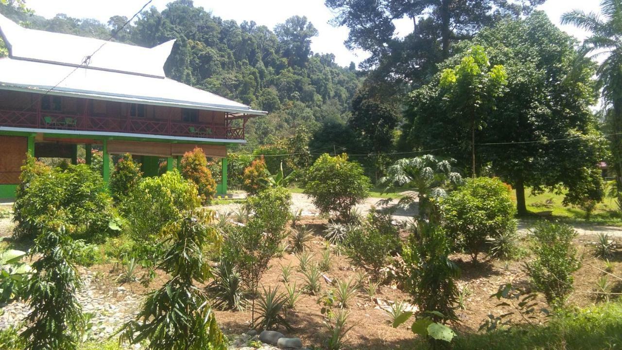 Green Forest Tangkahan Exterior foto