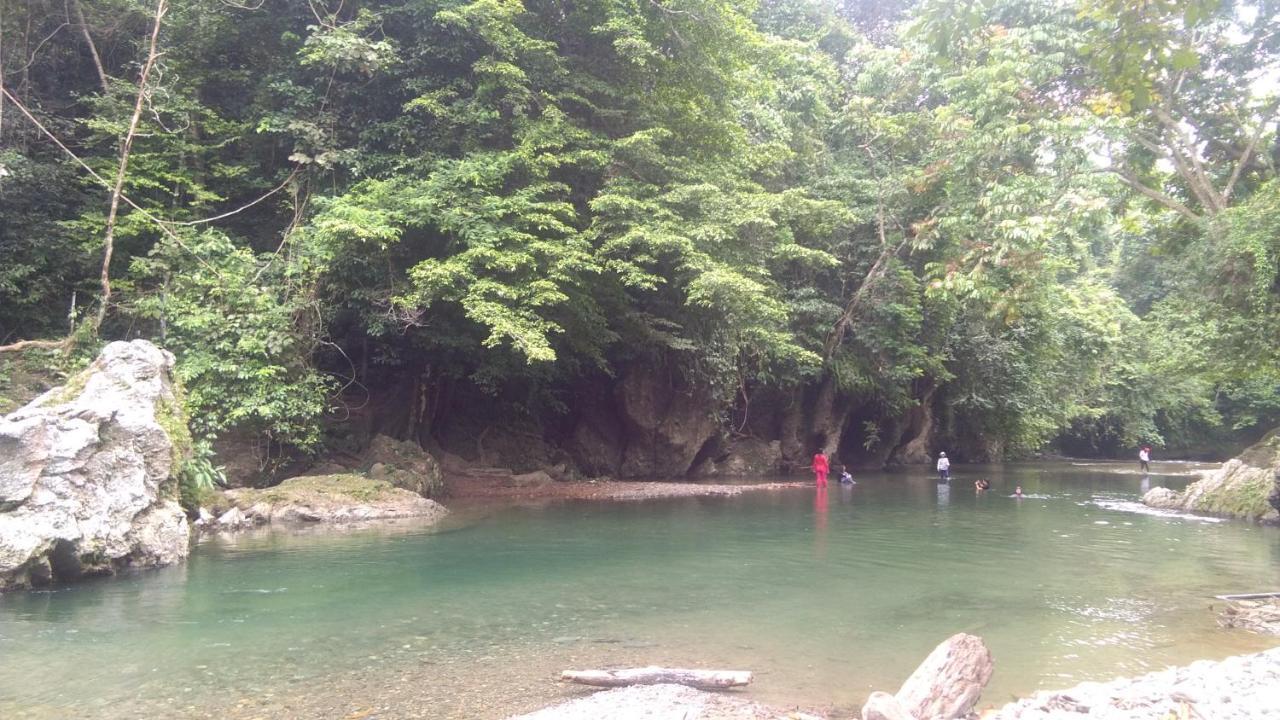 Green Forest Tangkahan Exterior foto